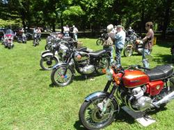 Bikes-Blues-2012 (20).jpg